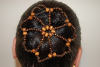 Dark Two-Tone Natural Wood Bead Hair Bun Cover